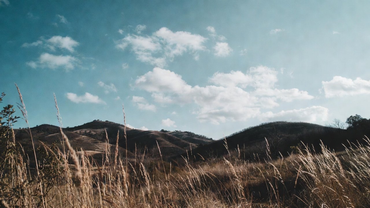 aed3938d-fc6f-464b-b3be-ae9392cf0a05